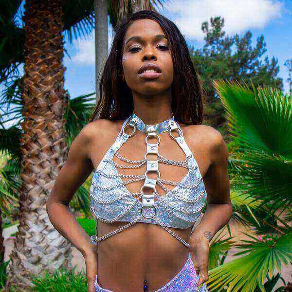 Silver harness