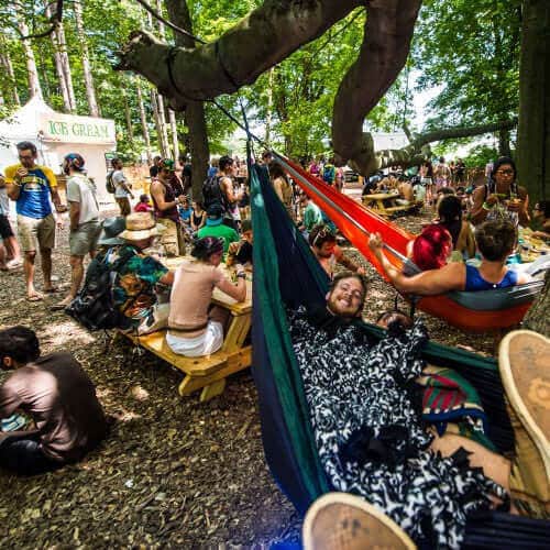 Get ready for Electric Forest!